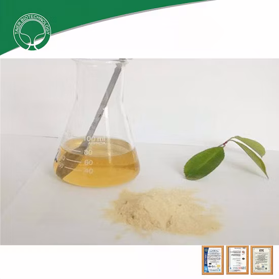 Rohstoff zur Brustvergrößerung, hochwertiges Acetylhexapeptid